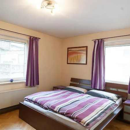 Appartments Zell Am アパート ツェル アム ゼー