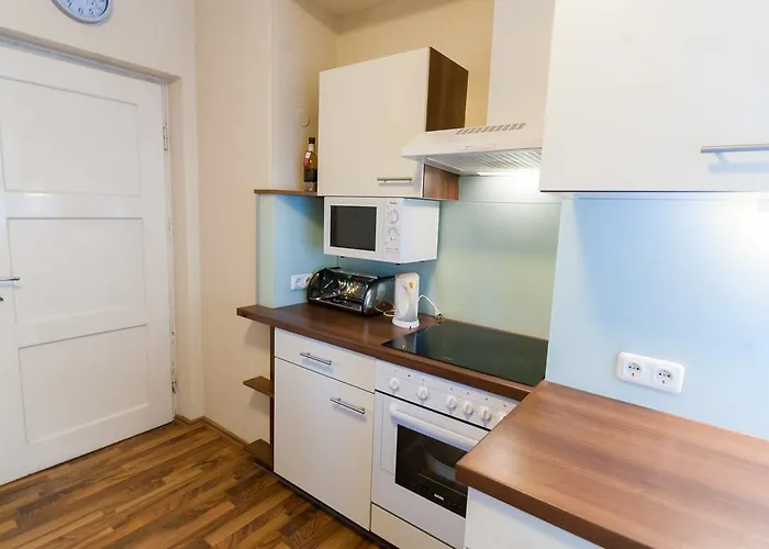 Appartments Zell Am 公寓 滨湖采尔
