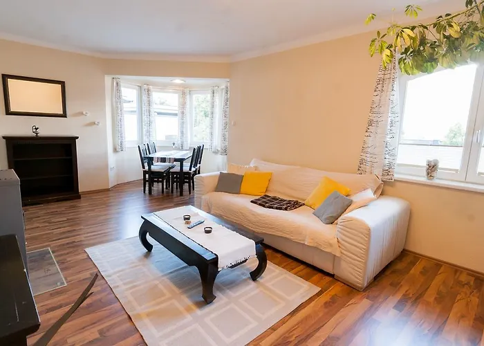 Appartments Zell Am 公寓 *
